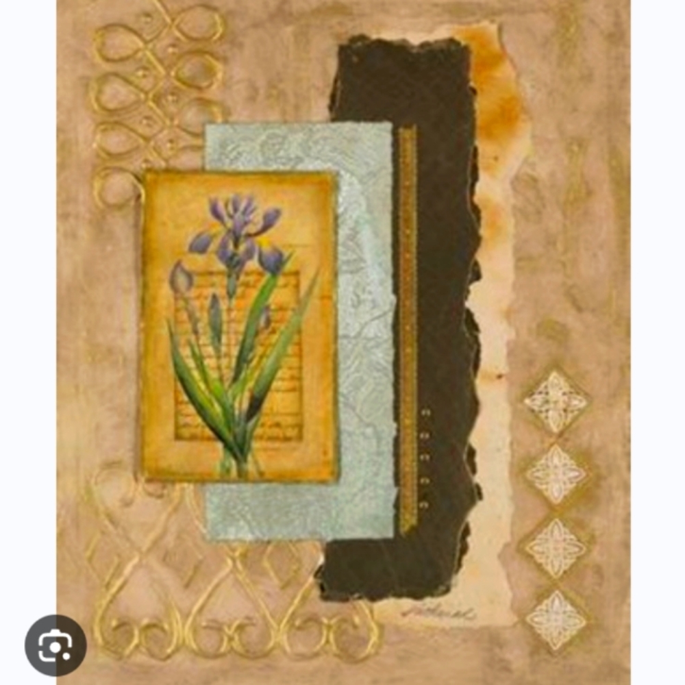Merry Paterain Gold Iris Photo framed Art